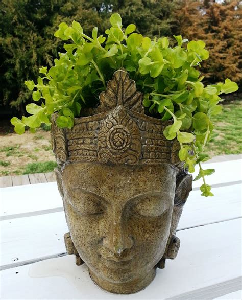 face planter meaning